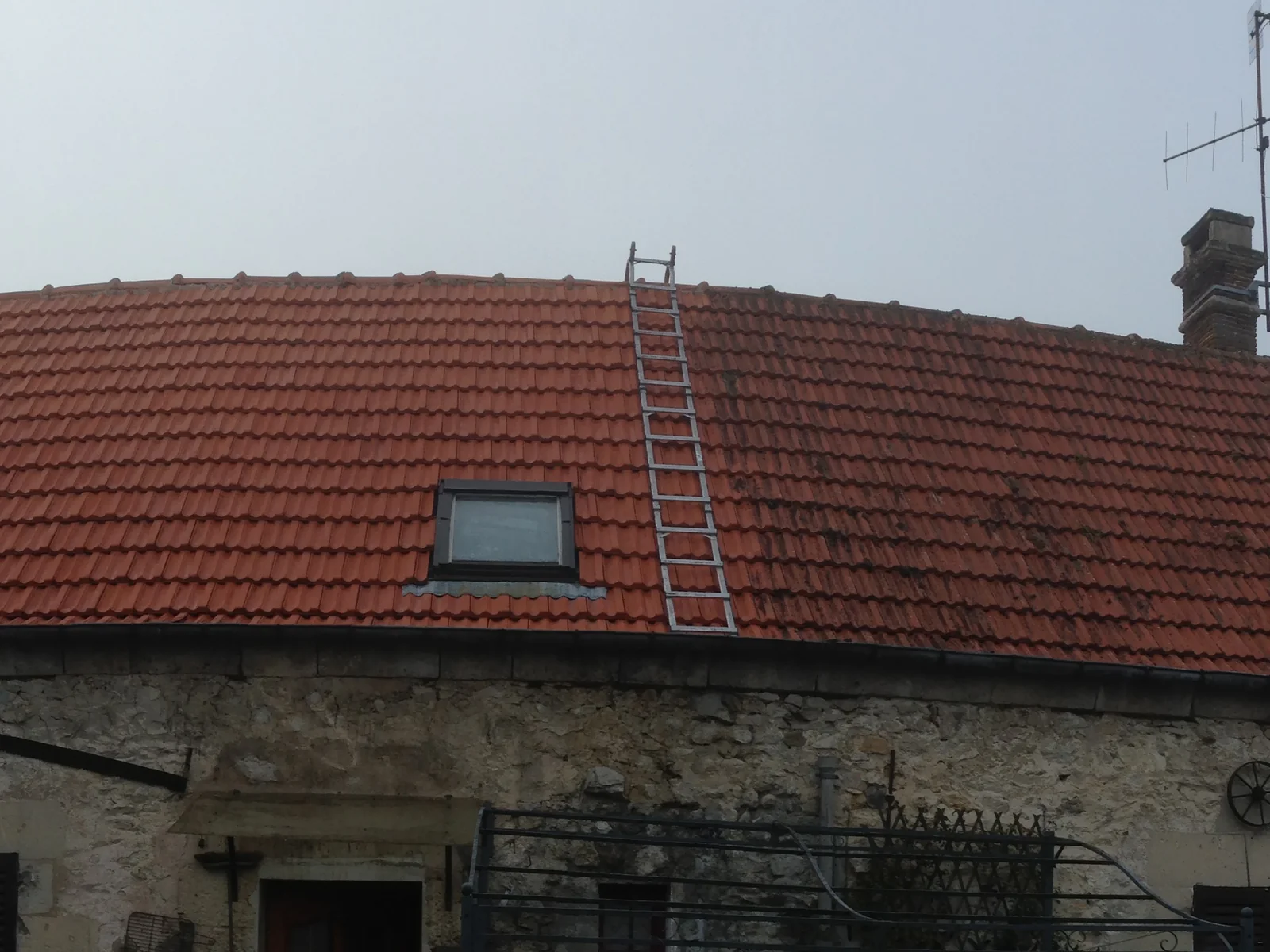 Démoussage de toiture en tuiles en cours : partie nettoyée à gauche, partie encore moussue à droite, Marne